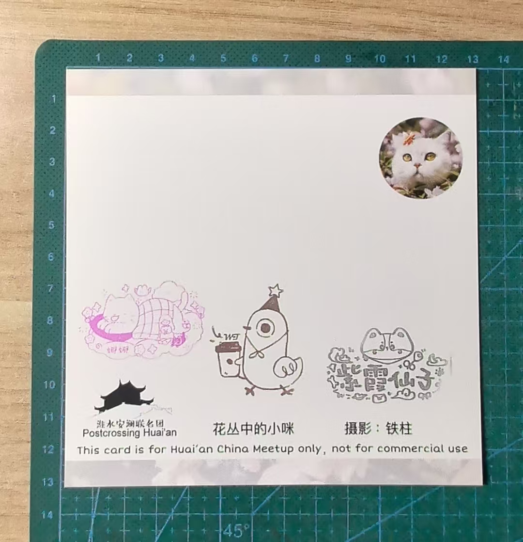 背面图